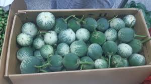 Cute glycerine 140 ml image 5